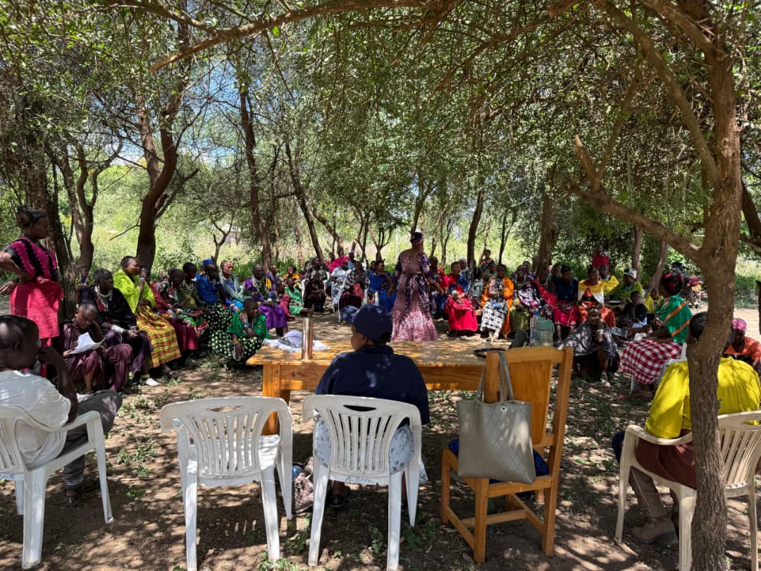 Community discussion under acacia trees with facilitator leading group